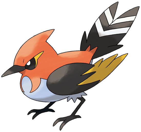 Pokemon Unite Talonflame