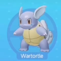 Pokemon Unite Blastoise